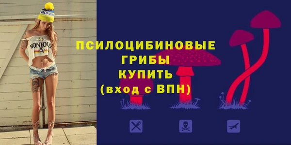 тгк Нея