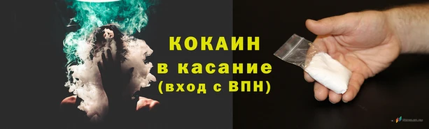 дживик Няндома