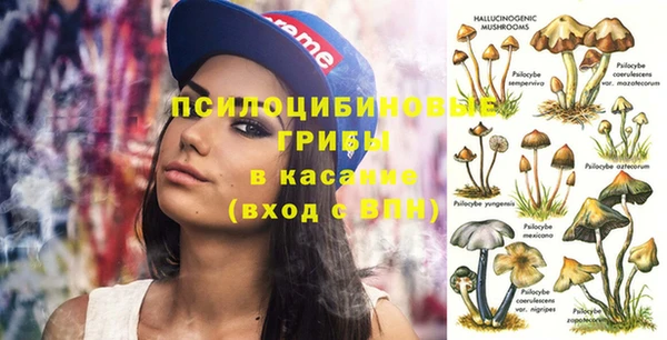 спайс Новодвинск