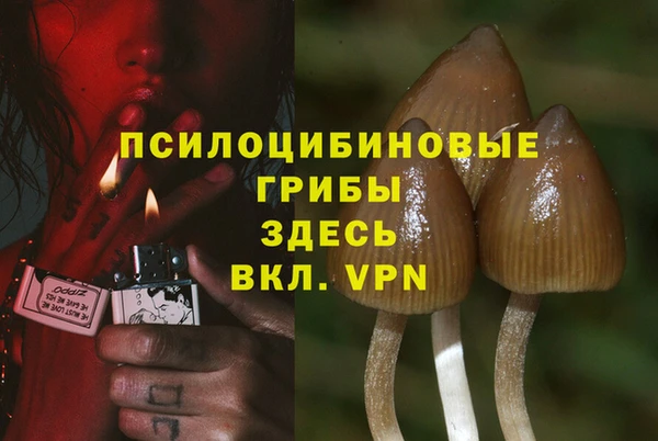 альфа пвп Новозыбков
