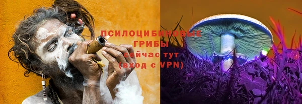 альфа пвп Новозыбков
