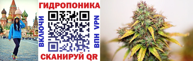 МАРИХУАНА план  Нарьян-Мар 